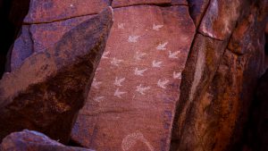 Murujuga Rock Art